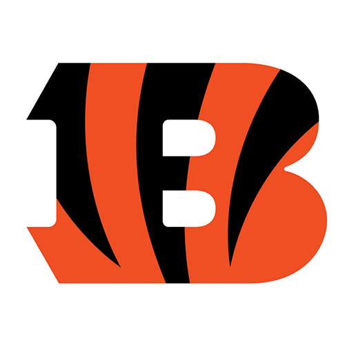 Cincinnati Bengals iron ons